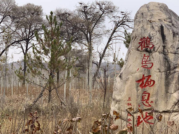 左权县赵家庄：绿水青山就是金山银山_霍艳