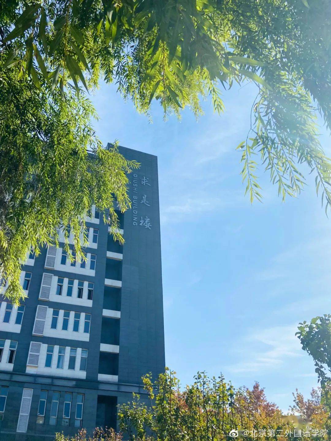 官宣|高校“官宣”秋景来了，有你的校园记忆吗？