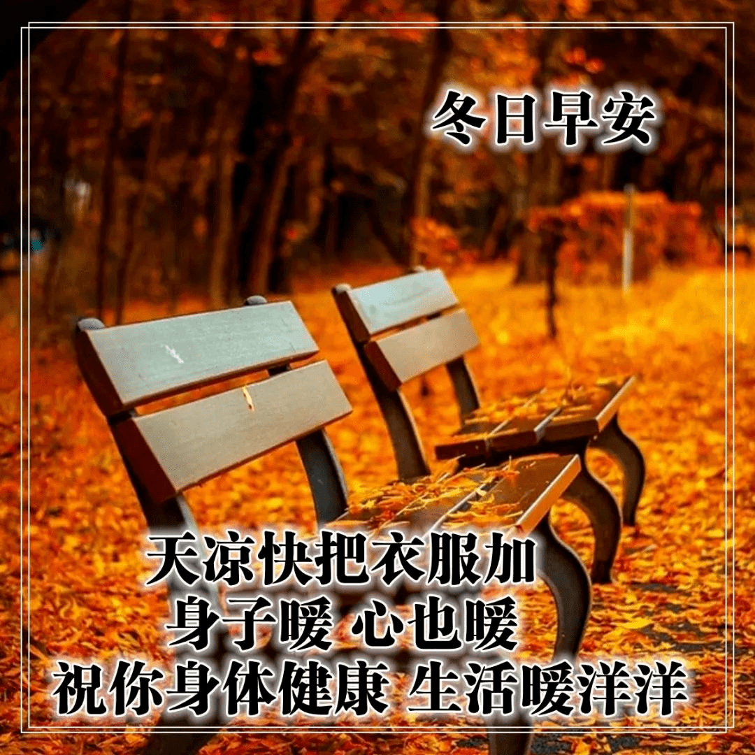 11月最新版早上好问候语图片大全,精美的早晨祝福语带