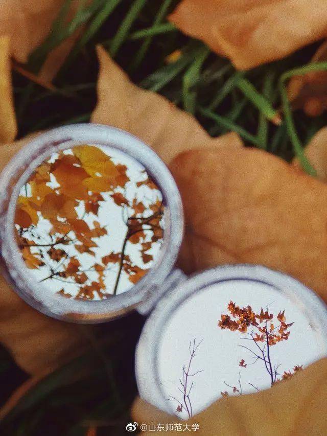 官宣|高校“官宣”秋景来了，有你的校园记忆吗？