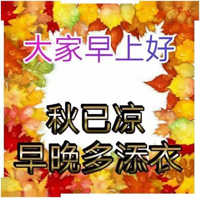 11月清晨问候大家早上好暖心祝福动画表情图片 最新早上好唯美动态