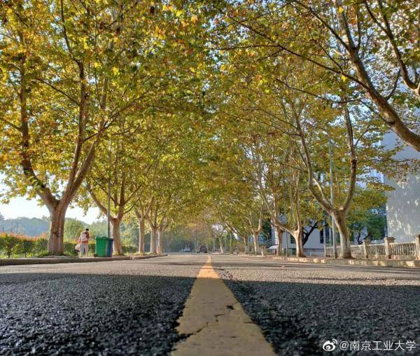秋景|惊艳！高校官宣秋景来了，有你的母校吗？