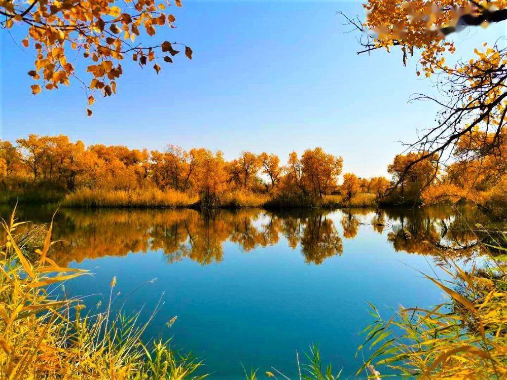 新疆乌苏市古尔图“怪湖”秋色如画_加尔湖