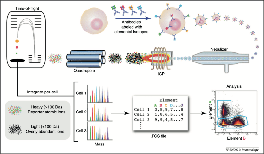 博奥晶典单细胞组学平台再添新成员cytof质谱流式