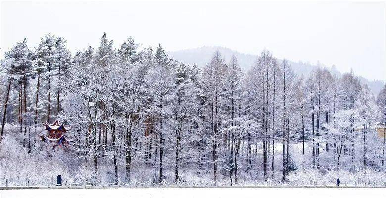 静听箐山初雪的声音!_山县