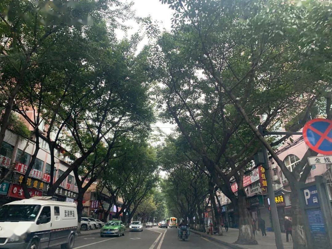 位于素有"自贡第一商圈"美誉的东方广场,是一个大型,综合性商业街.