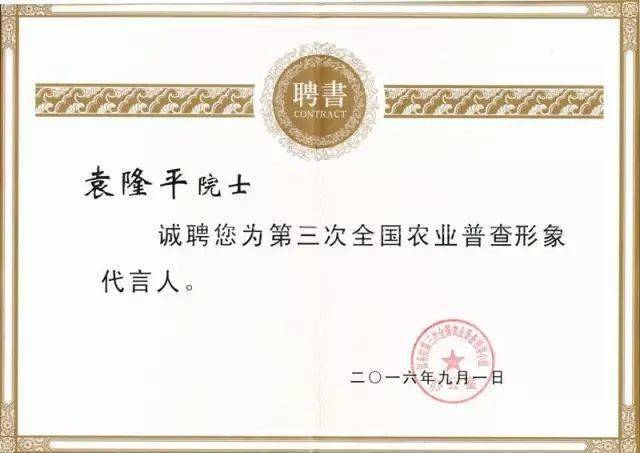 90后人口_2020年人口新增下降32.8%,缘何生育主力军90后“歇菜”了