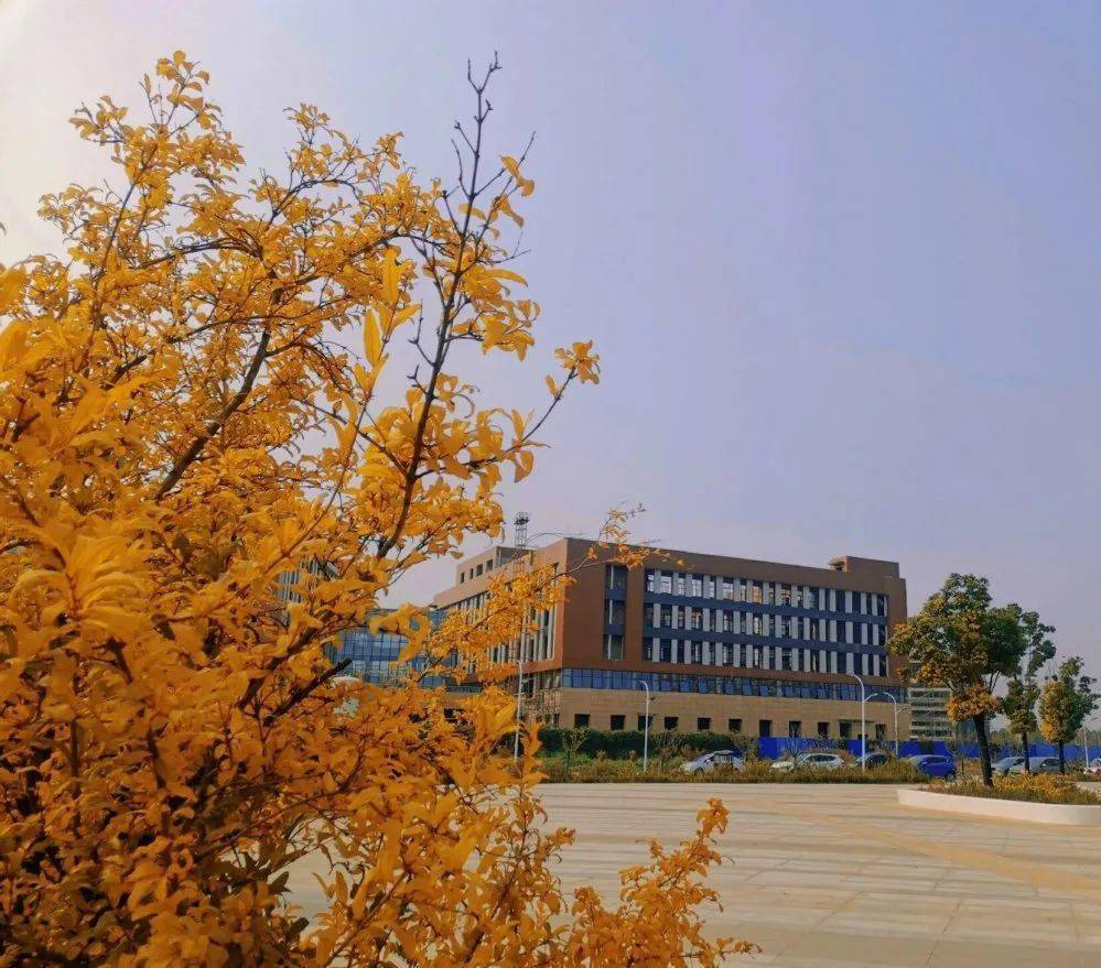 ‘开云AG娱乐’
请签收专属于黄河交通学院的秋景(图2)