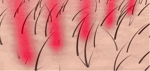 调配|梳个头，就能get新发色！无需搅拌，单手可染，30分钟轻松上色！