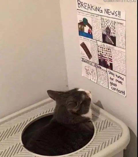 aad3ad6d69b84a20a2ae05ef53d7a5a5.jpeg