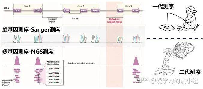 一篇文章保证让你明白ngs测序技术的不同检测方案