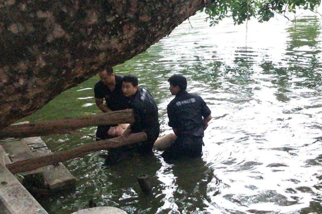 高州民警在潘州公园救起一女子,发生了什么事?