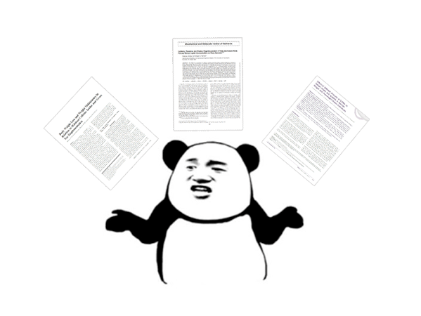 18bf64d07d1c4f4b8b9b3ed2d9b4dae3.png