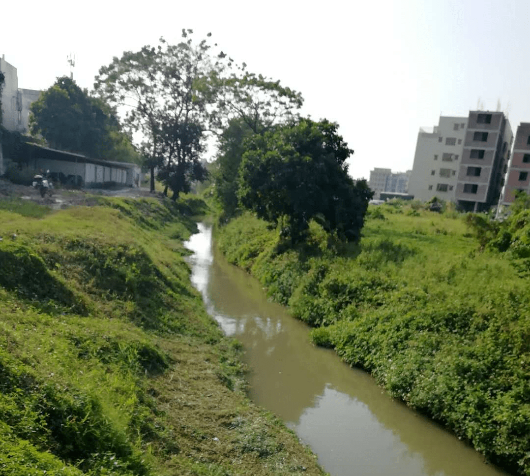 济宁庙口村人口_济宁郑媛媛口照(2)