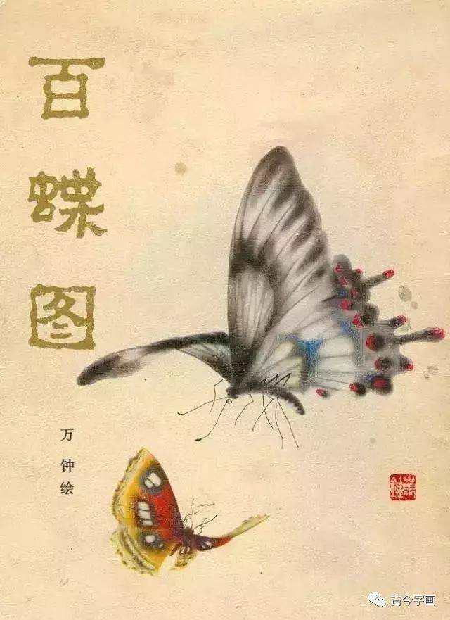 赏心悦目！1000只高清工笔蝴蝶，画蝶三剑客惊艳国人！_搜狐网