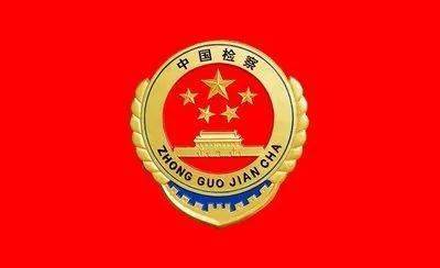 发现这一情况后,安岳县人民检察院第二检察部立即开展同步监督,发现王