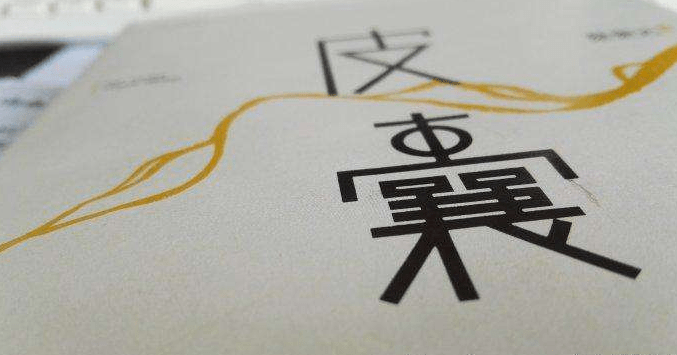 皮囊是啥书 0370a65b4d2e45bf9df3f986c6dd3f3c.png