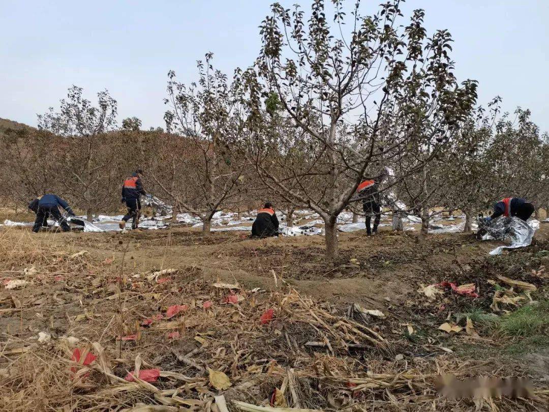 熊岳城人口_熊岳城火车站的照片