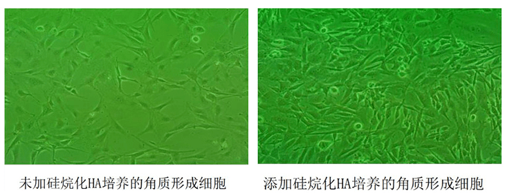 肌肤|嫩到掐出水！用一次比敷100片面膜还白润，10分钟感受女星同款水光肌！