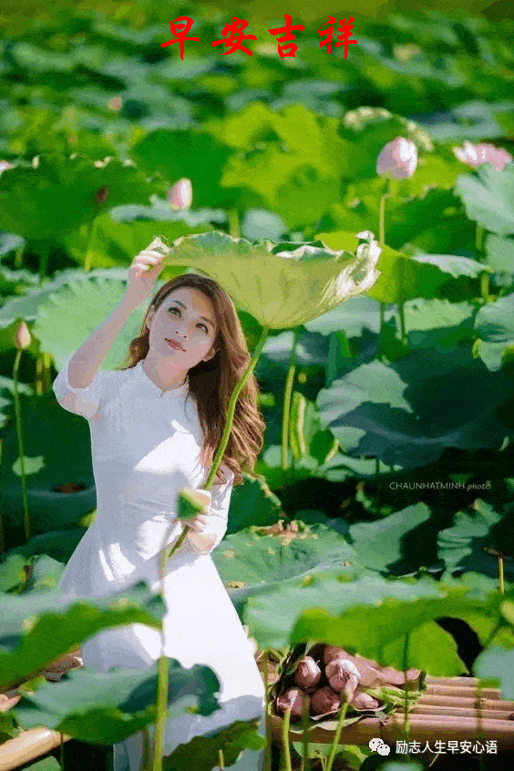 564_846 竖版 竖屏