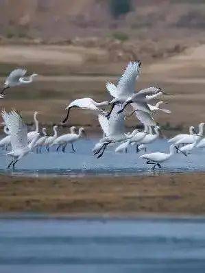 手炉|【读书】 古人是怎么过（抗）冬（寒）的？