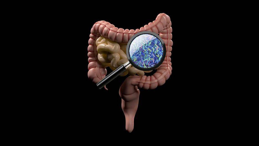 知识科普|Nature子刊：微生物组疗法想要成功，少不了这个方法