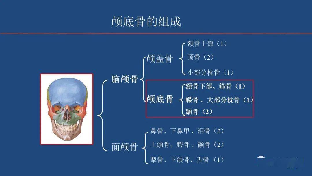 颅底肿瘤和肿瘤样病变影像学诊断