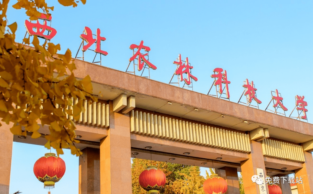 2020年985高校实力排名_2020年中国大学社会影响力排名100强名单:武汉大学