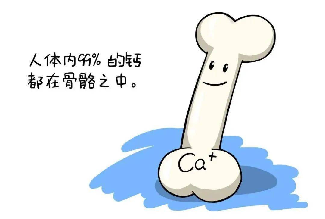 9b3b81865ad441688ecdf2e517cc1da5.jpeg