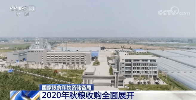 物资|国家粮食和物资储备局：2020年秋粮收购全面展开 收购资金充足