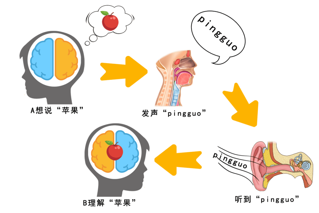 一岁多宝宝不会说话怎么办