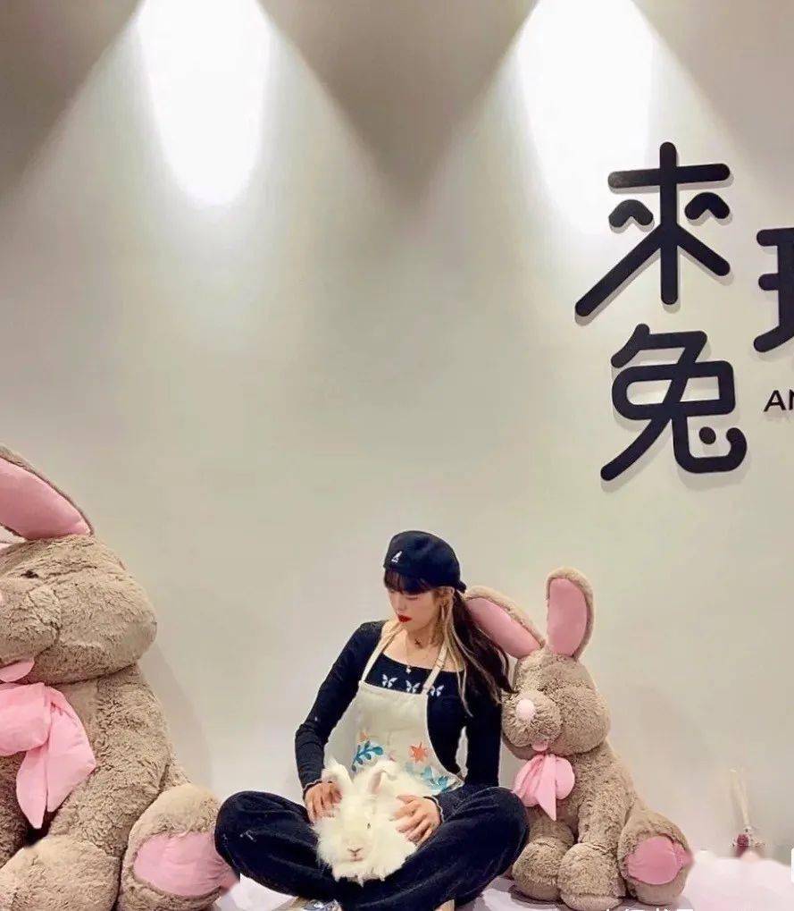 兔子网红玩具 e1e70d12524649a4957a17daa710167d.jpeg