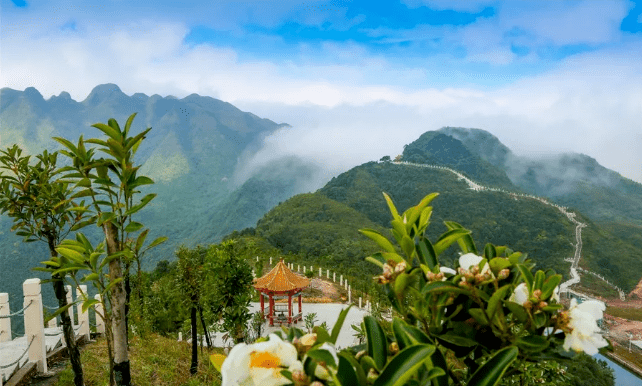 七星顶生态综合旅游度假区(简称七星顶度假区)位于防城港市防城区十万