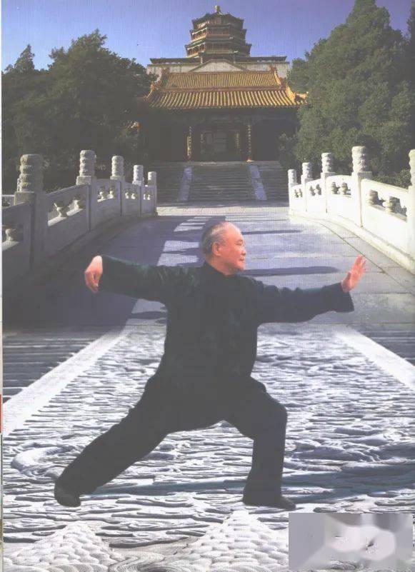 拳象:朴茂参天,内外无垠—杨振铎先生千古!