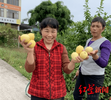 广安|政府引领，邮政助力 四川广安拥抱新电商浪潮