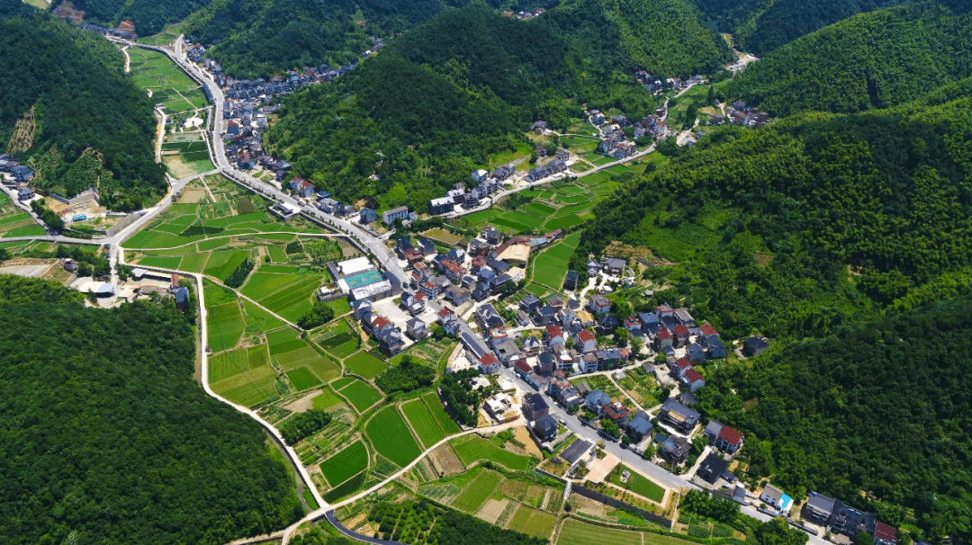 邵阳县河伯乡上阳村总人口_邵阳县河伯岭杜鹃花(2)