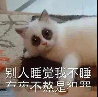 cdcb9227d3c540b086436646a4aa6895.jpeg