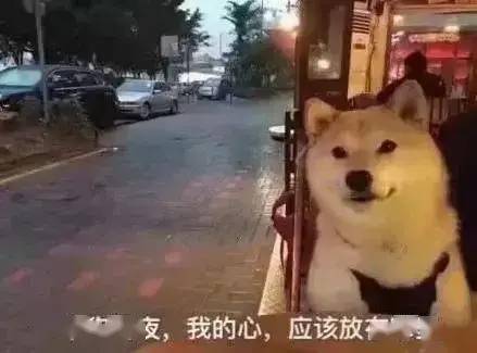 0ff5dbd01d4744149c3f503f539c5177.jpeg