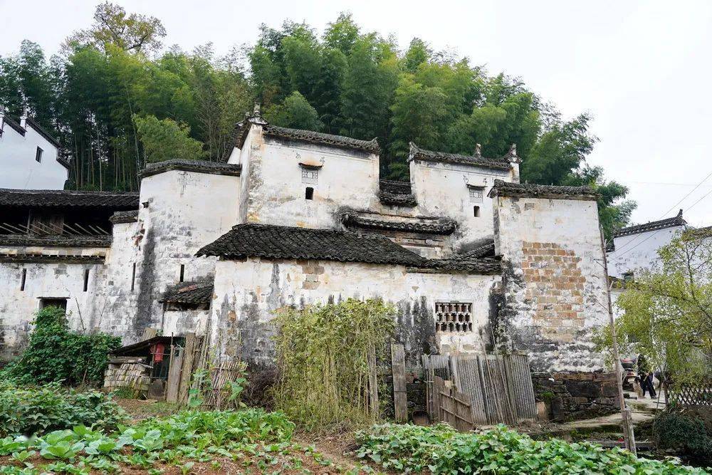 非常住人口_人口普查图片(3)