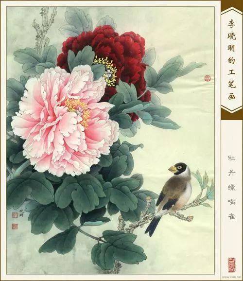 李晓明工笔牡丹绘画美的让人窒息