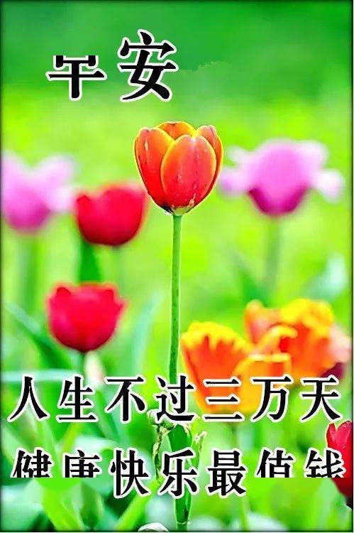 11月10日最漂亮早上好动态表情图片大全