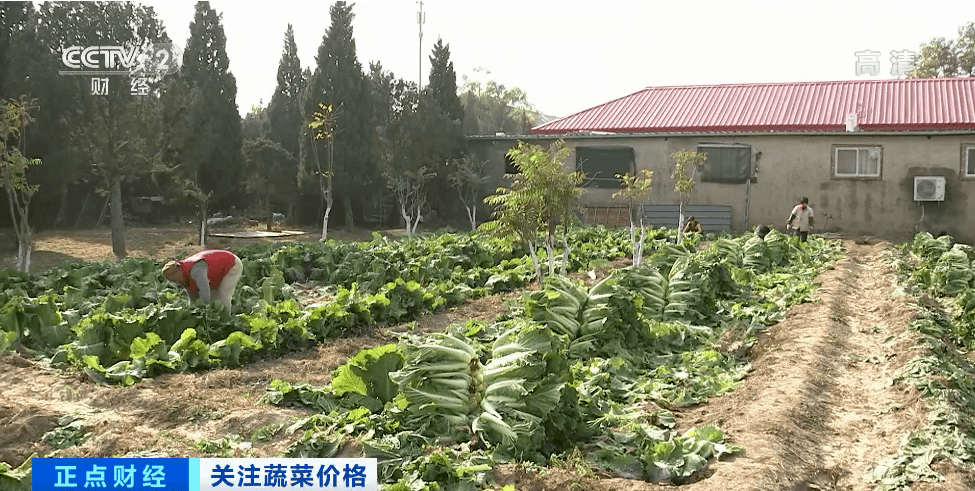 种植人口地_世界人口老龄化地图片(2)