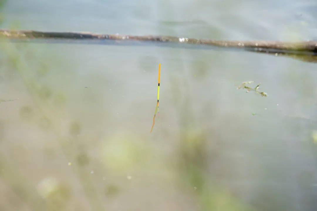 浮什么李成语_浮置板整体道床是什么(2)