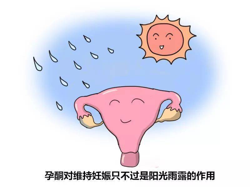 42f4085cad1743a0ba8a5231edcfd845.jpeg