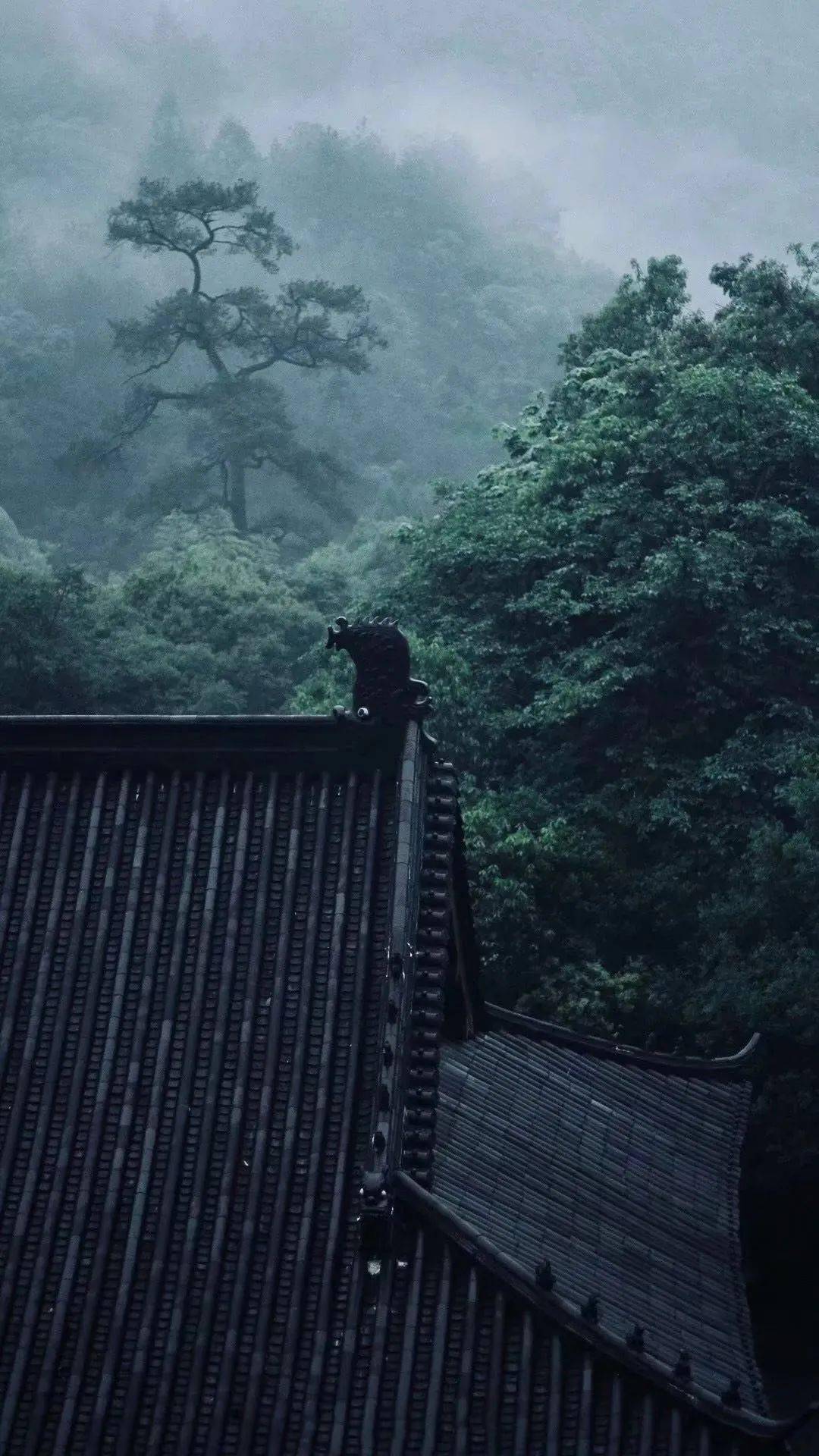 古琴|《半山听雨》一世荣华,不如半山听雨