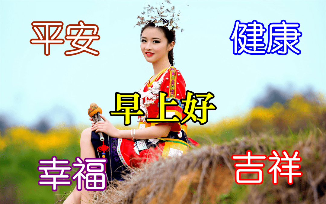 11月11日鲜花早上好美图大全,美丽的早上好问候,早安吉祥!