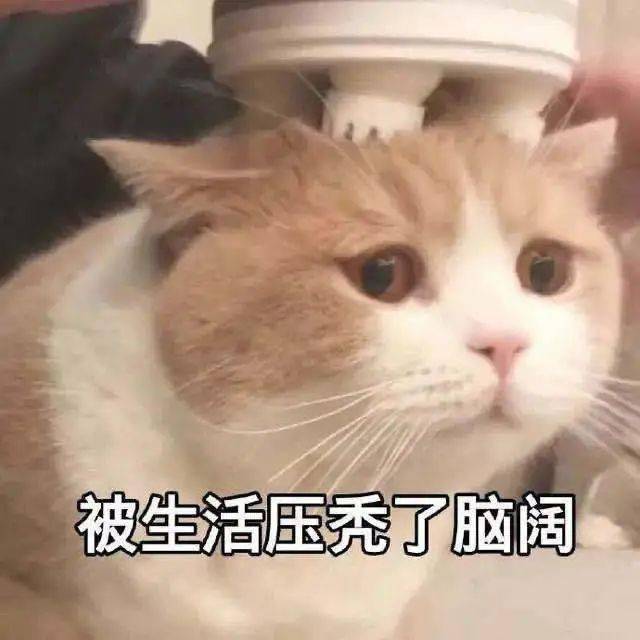 c776d779a8eb4b57a2de1262114920f1.jpeg