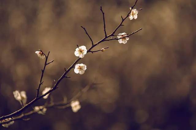 d863911ecef64677bfa49d0846ee12c2.jpeg