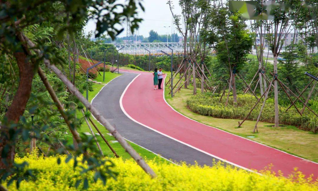 天河公园横空出世, 给市民带来 11月11日,家住锦江现代城小区的