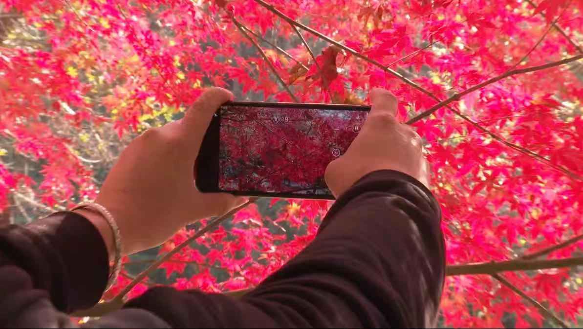 淮南|淮南八公山：为什么镜头都对准了这儿